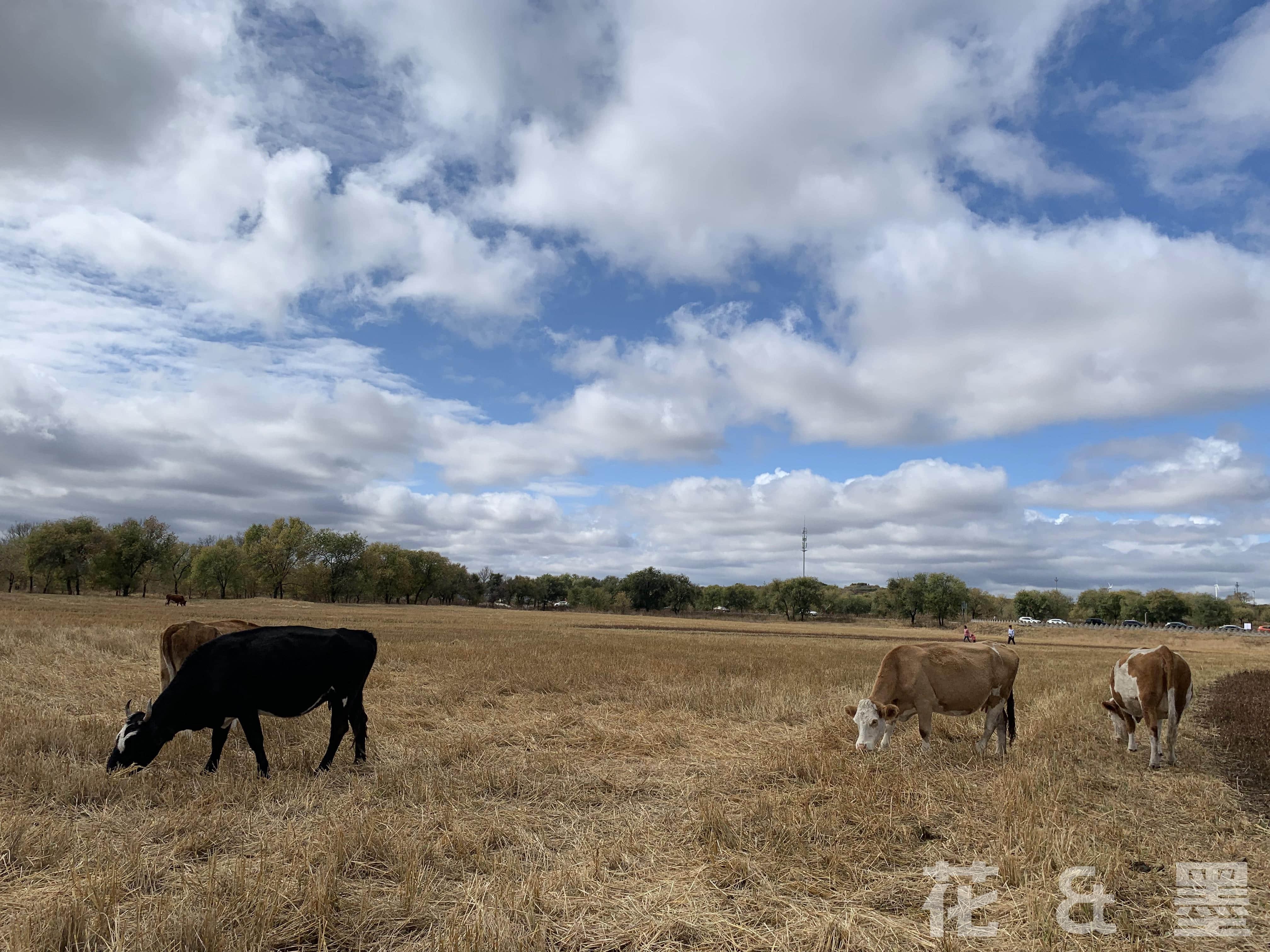 2019_10_04_12_04_IMG_0810