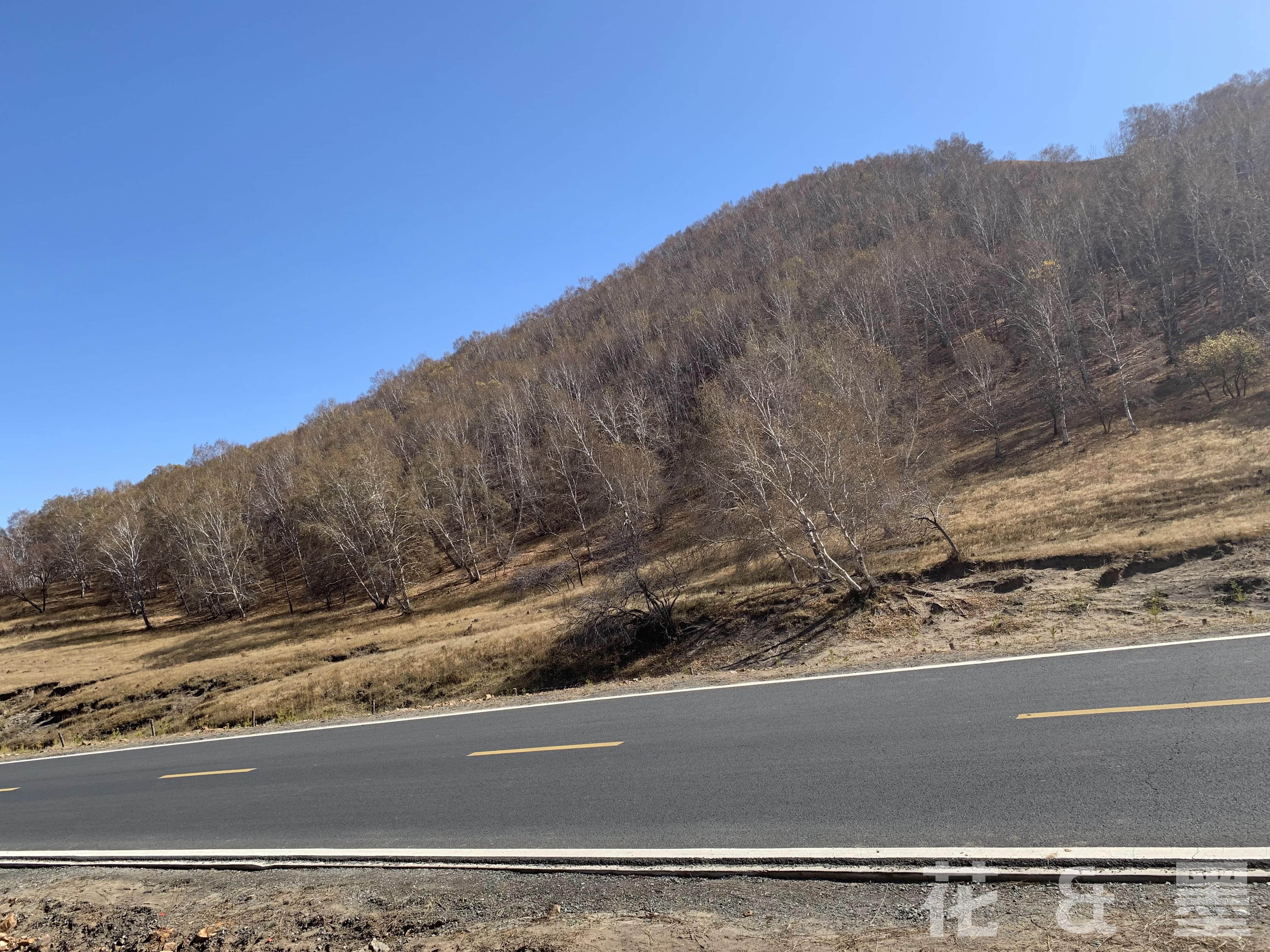 2019_10_05_12_00_IMG_0842