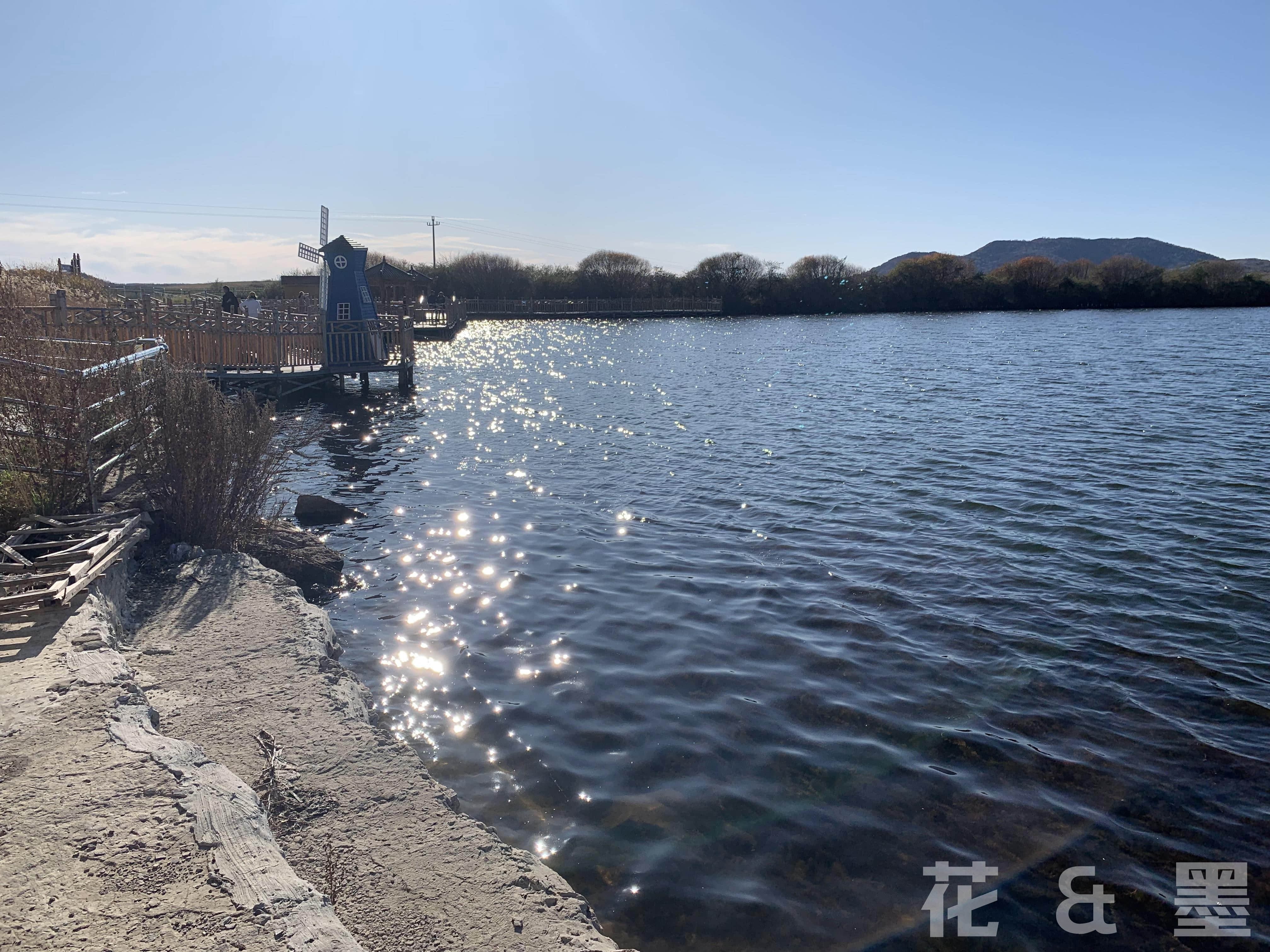 2019_10_05_15_29_IMG_0981