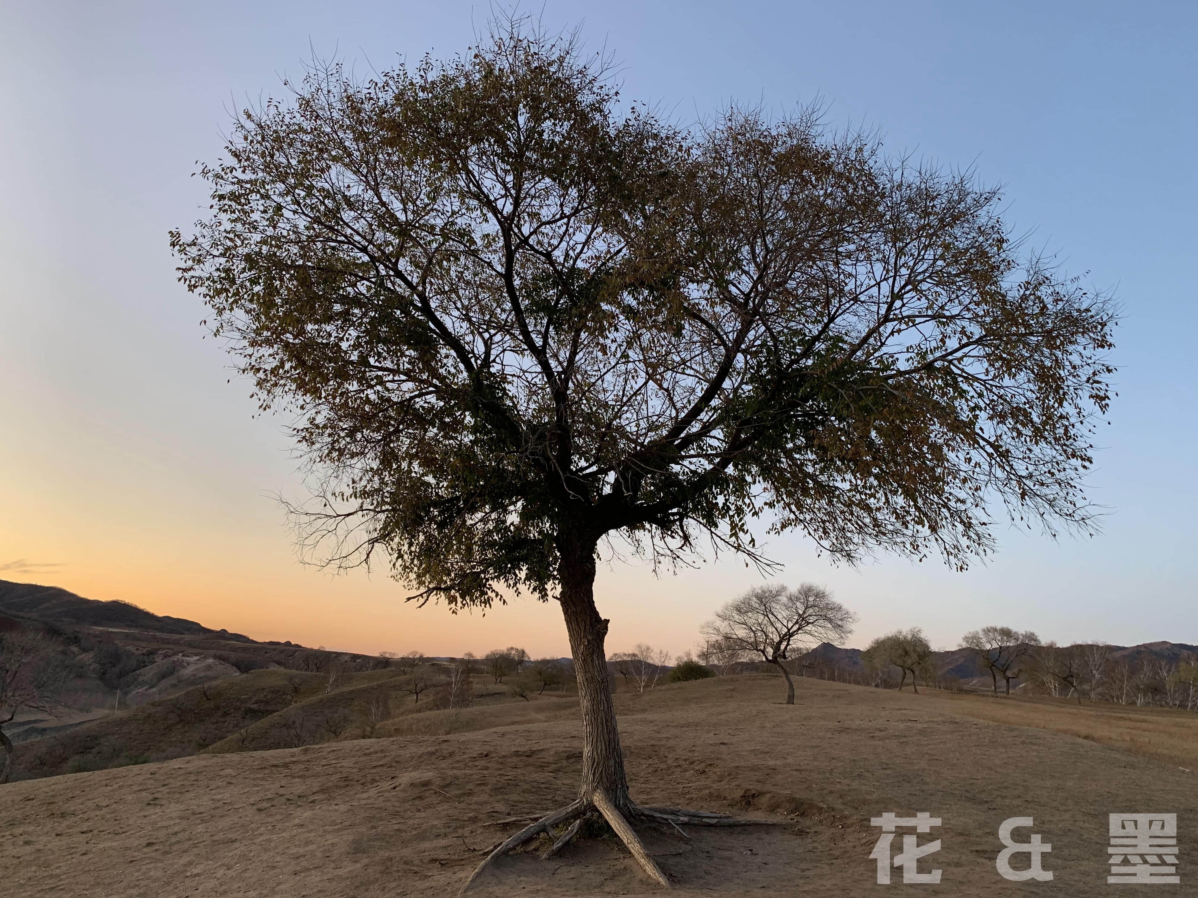 2019_10_05_17_53_IMG_0990