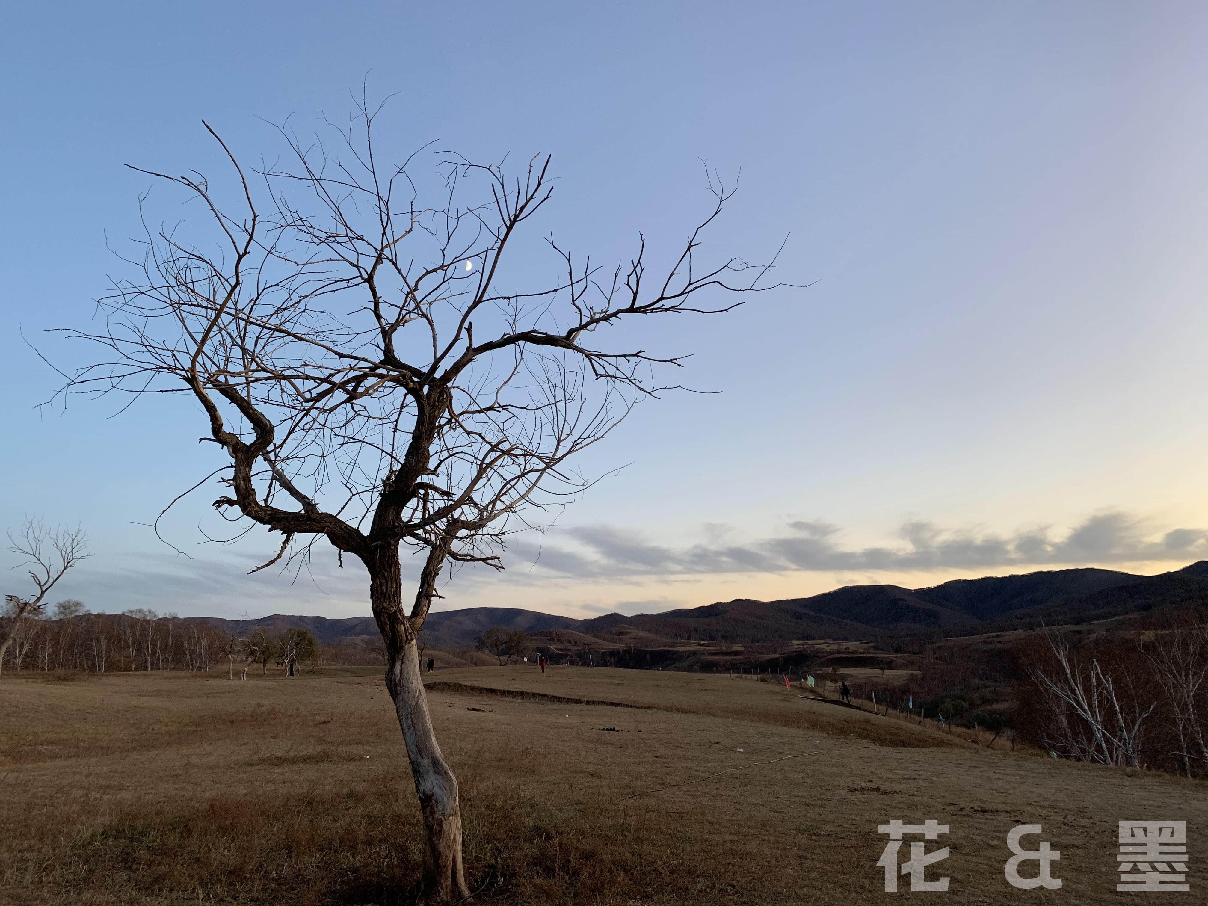 2019_10_05_17_55_IMG_0992