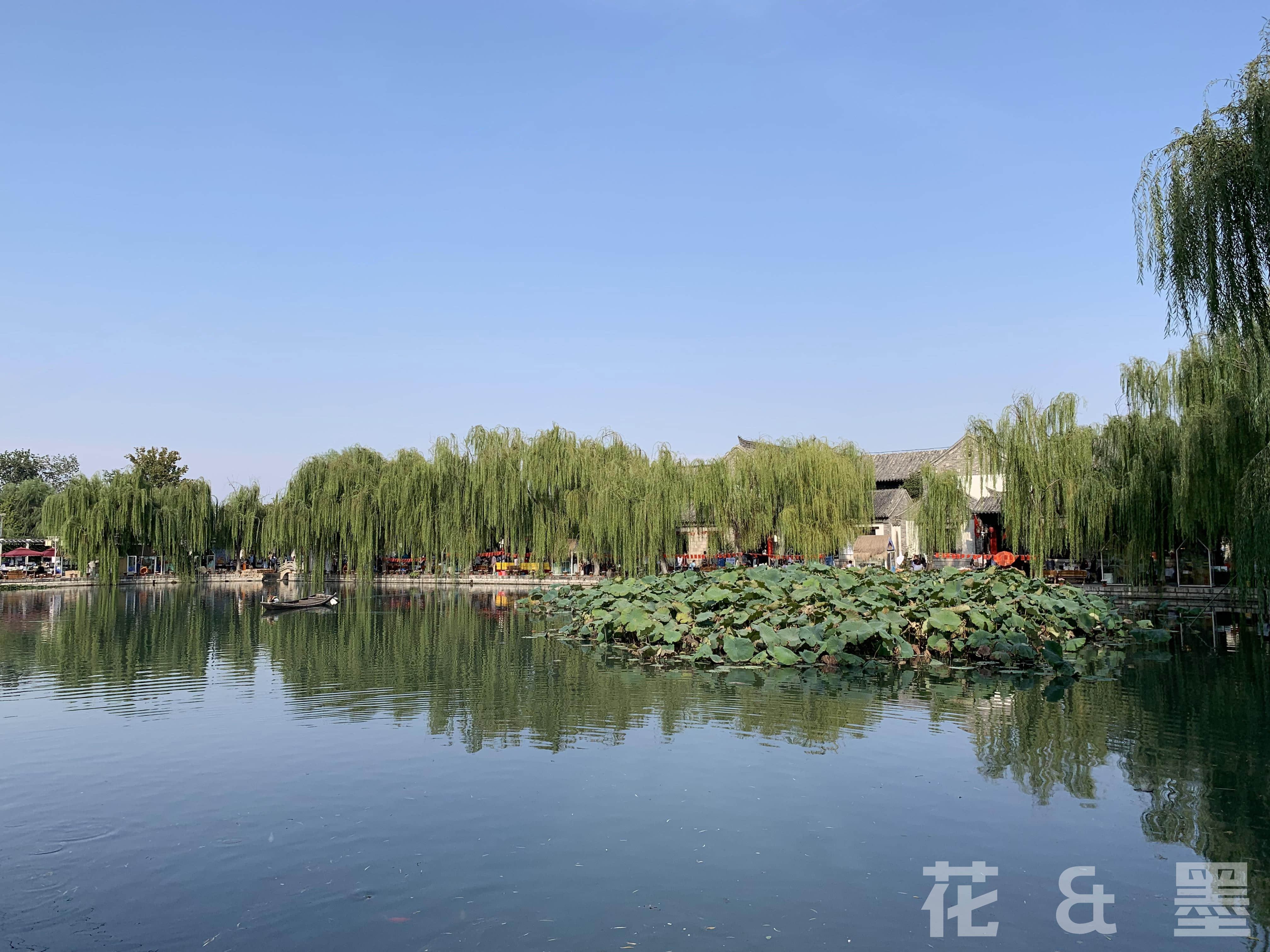 2019_10_01_14_55_IMG_0737