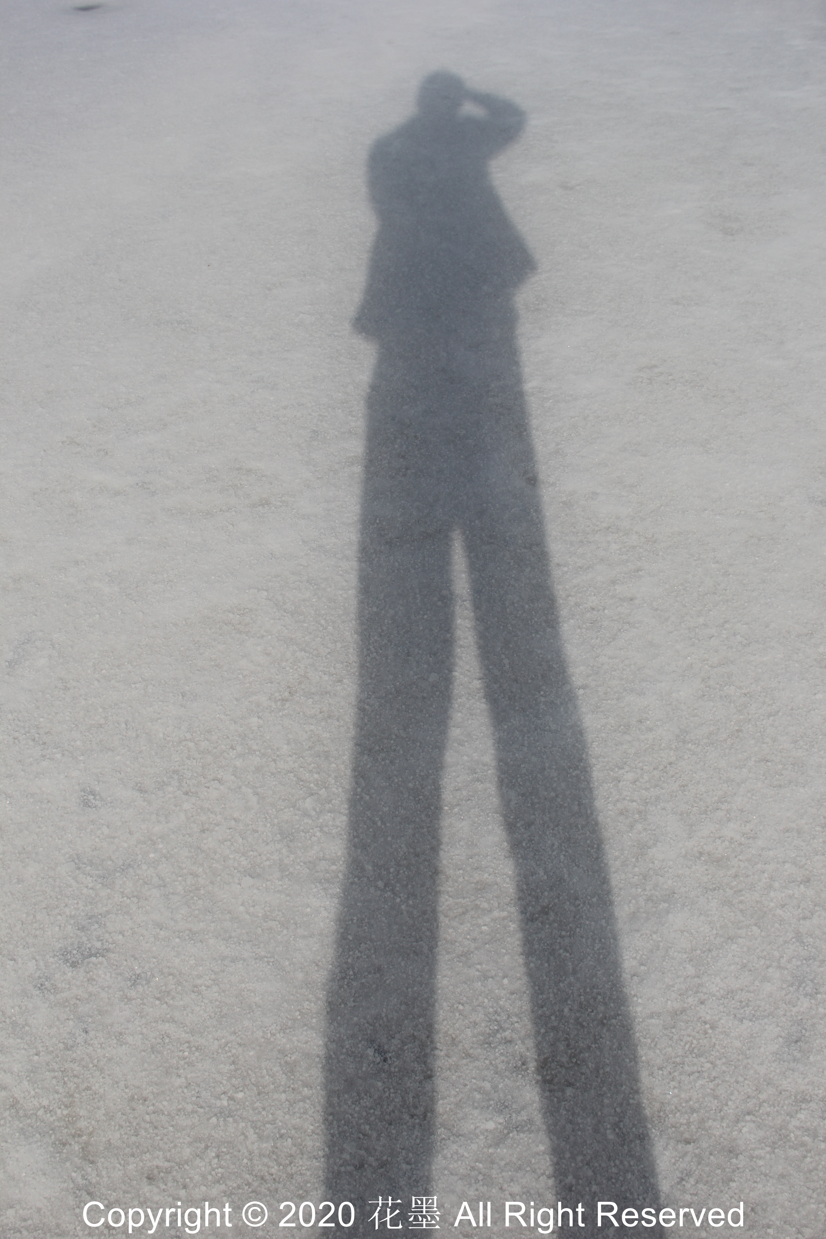 茶卡盐湖的大长腿